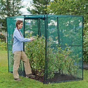 garden-crop-cage