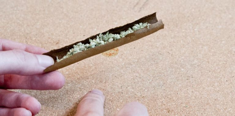 Roll A Perfect Blunt Every Time In 5 Easy Steps - Marijuana Science