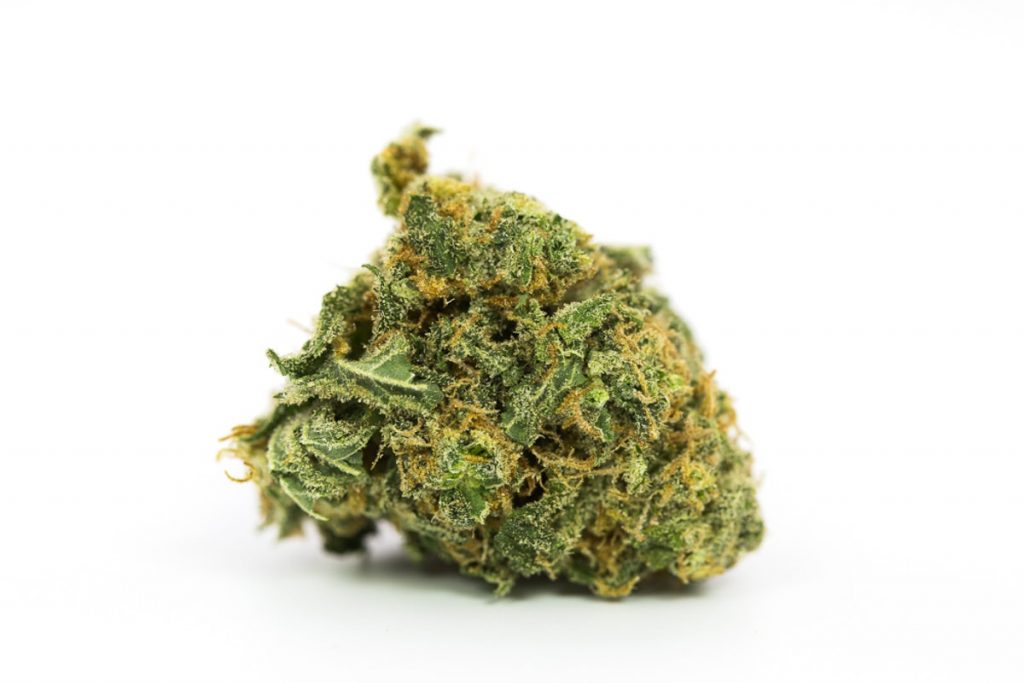 Cookies And Cream Strain Guide Marijuana Science