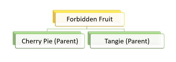 Allusion To The Forbidden Fruit Analysis