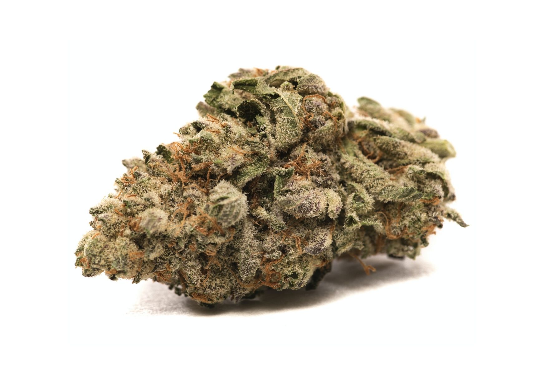 Grease Monkey Strain The Ultimate Guide Marijuana Science