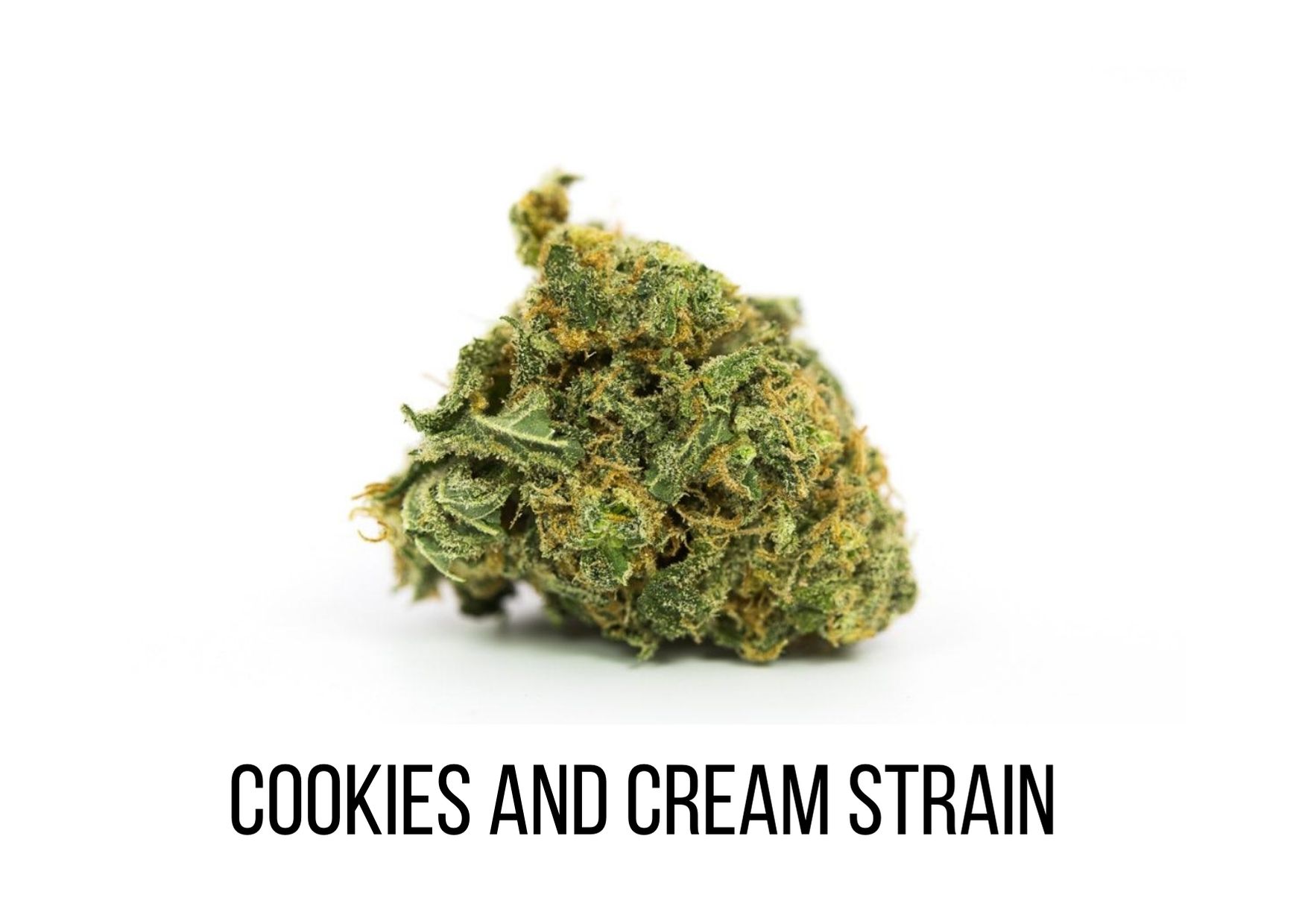 Cookies-and-Cream-Strain.jpg