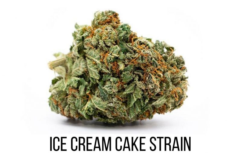 insane ice cream cake strain