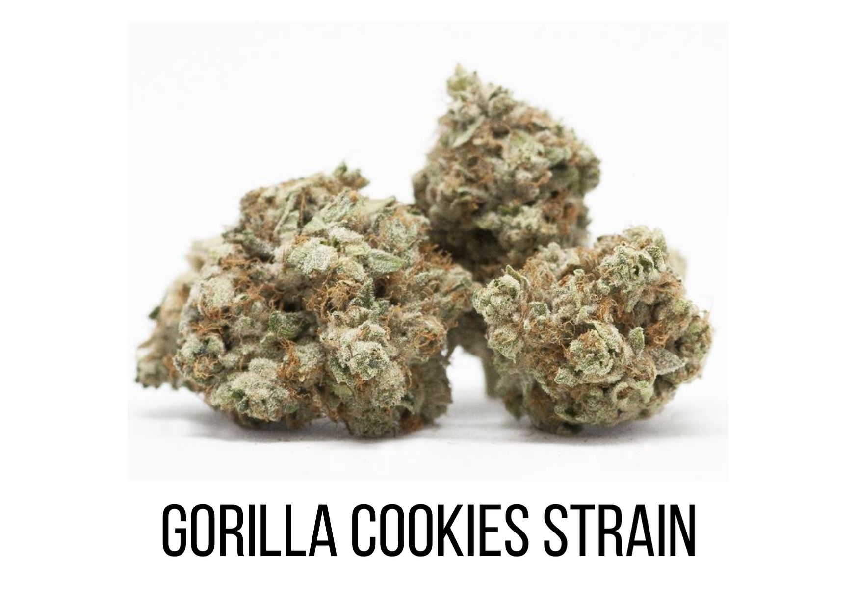 gorilla breath strain yield