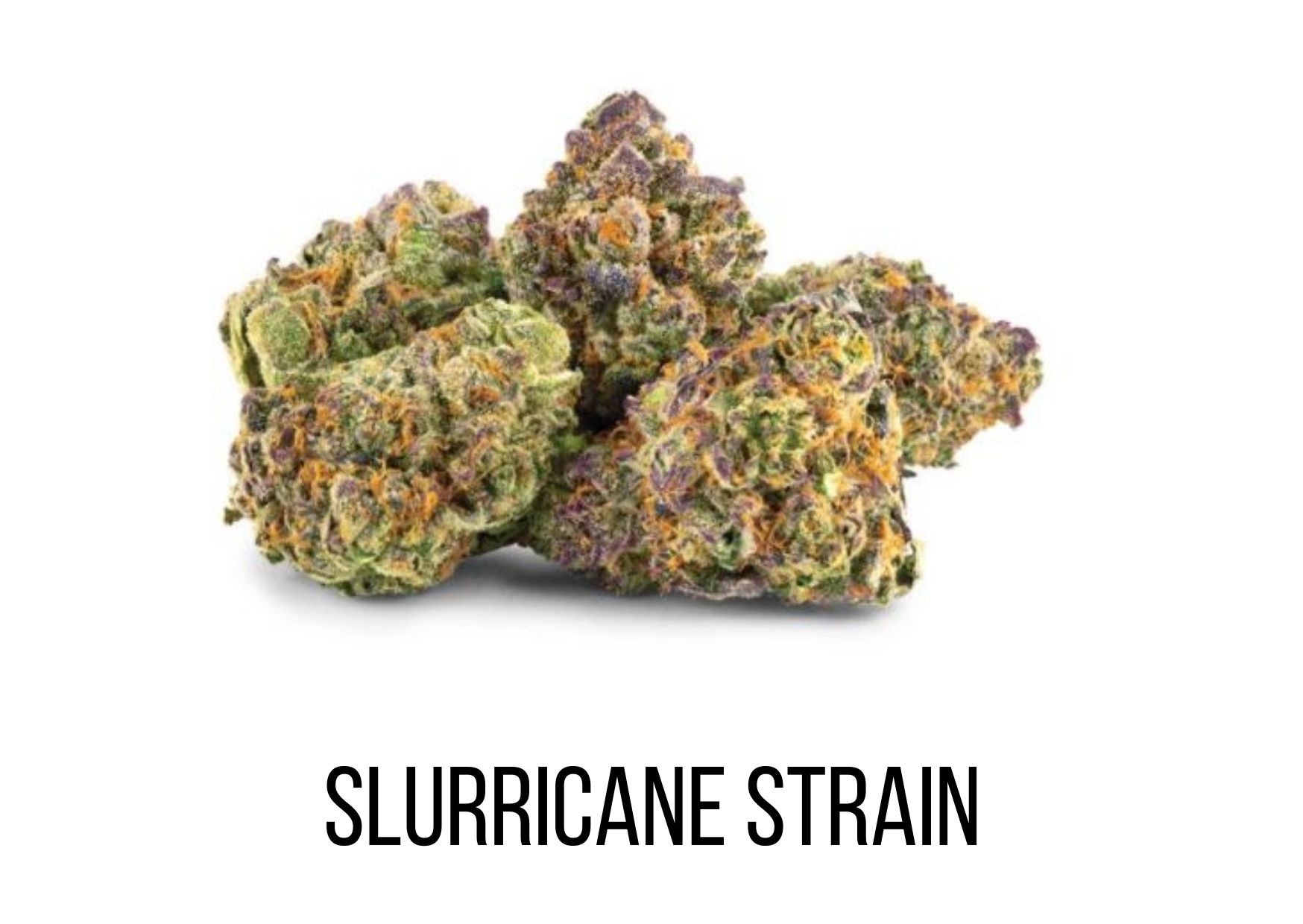 Slurricane OG Strain - Top Shelf - OC 420 Collection